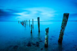 Wooden posts, Baring Strand, Middelfart, Baltic Sea, Funen, Denmark