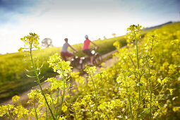 man and woman, on eBikes, through fields of field mustard,  Muensing, upper bavaria, Germany