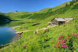 Alpine hut Tappenkarseealm at lake Tappenkarsee, lake Tappenkarsee, Radstadt Tauern, Salzburg, Austria