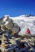 Frau beim Wandern steigt zum Großen Trögler auf, Wilder Pfaff und Zuckerhütl im Hintergrund, Großer Trögler, Stubaier Alpen, Tirol, Österreich