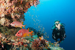 Scuba Diver on Coral Reef, Felidhu Atoll, Maldives