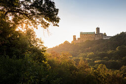 Die Wartburg, UNESCO-Weltkulturerbe Stätte, im Licht der untergehenden Sonne, Eisenach, Thüringen, Deutschland, Europa