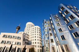 Fernsehturm und Neuer Zollhof von Frank O. Gehry, Medienhafen, Düsseldorf, Nordrhein-Westfalen, Deutschland
