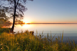 Morgenstimmung an der Müritz, Müritz-Elde-Wasserstrasse, Mecklenburgische Seenplatte, Mecklenburg-Vorpommern, Deutschland