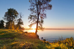 Morning mood at lake Mueritz, Mueritz-Elde-Wasserstrasse, Mecklenburgische Seenplatte, Mecklenburg-West Pomerania, Germany