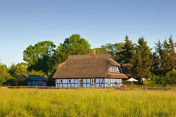 Reetdachhaus, Warthe, Lieper Winkel, Usedom, Ostsee, Mecklenburg-Vorpommern, Deutschland