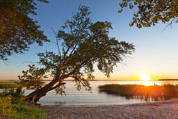 Achterwasser at Lieper Winkel, Usedom, Baltic Sea, Mecklenburg-West Pomerania, Germany