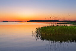 Achterwasser am Lieper Winkel, Usedom, Ostsee, Mecklenburg-Vorpommern, Deutschland