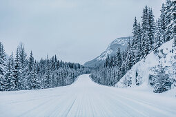 Icefields Parkway, Banff National Park, Jasper National Park, Alberta, Kanada, north america