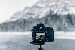 Flussufer am Bow River, Castle Junction, Banff Town, Bow Tal, Banff National Park, Alberta, Kanada, Nordamerika