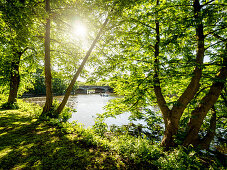 Sunny day on the banks of the River Alster, Hanseatic City of Hamburg, Germany, Europe