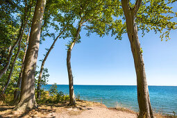 View from cliff towards the sea, Brodtener Ufer, Timmendorf-Niendorf, Baltic coast, Schleswig-Holstein, Germany