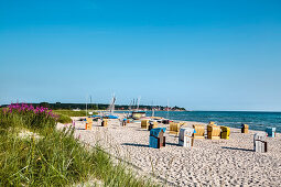 Blick über Dünen und Strand, Sehlendorf, Hohwacht, Ostsee, Schleswig-Holstein, Deutschland