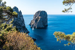 View to Faraglioni stacks near Capri, island of Capri, Gulf of Naples, Italy