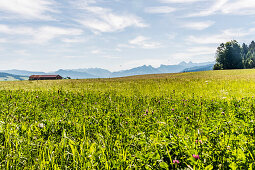 mountains near Chatel-Saint-Denis, Gruyere, Kanton Fribourg, Switzerland