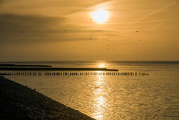 Sonnenaufgang am Jadebusen, Nationalpark Wattenmeer, Nordsee, Wilhelmshaven, Niedersachsen, Deutschland