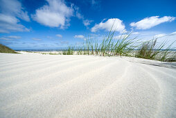 Sanddünen auf Spiekeroog unter blauem Himmel, Nordsee, Nationalpark Wattenmeer, Ostfriesland, Niedersachsen, Deutschland