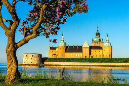 Kalmar castle in the morning light. Tree with flowers in the foreground., Schweden
