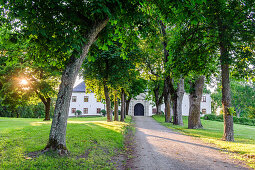 Schlossauffahrt mit Baumallee von Schloss  Tidoe , Schweden