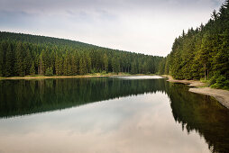 UNESCO Welterbe Harzer Wasserwirtschaft, Neuer Grumbacher Weg, Liebesbankweg, Harz bei Goslar, Niedersachsen, Deutschland