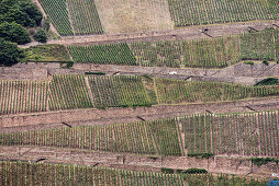 UNESCO Welterbe Oberes Mittelrheintal, Terassenförmiger Weinanbau, Blick von Burg Rheinstein, Rhein, Rheinland-Pfalz, Deutschland