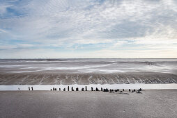 UNESCO Weltnaturerbe Wattenmeer, Markierung des Fahrwasser im Schlickwatt bei Wremen im Landkreis Cuxhaven, Niedersachsen, Deutschland, Nordsee