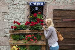 Beautiful blond woman smells red roses on window sill of half-timbered house in Altstadt old town, Bad Orb, Spessart-Mainland, Hesse, Germany