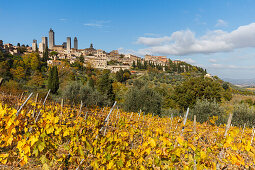 townscape with towers, vineyard, San Gimignano, hilltown, UNESCO World Heritage Site, province of Siena, autumn, Tuscany, Italy, Europe