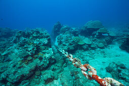 Chain of moored Buoy damages Reef, Christmas Island, Australia