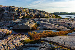 Felsen an der Küste im Stora Amunddoen Naturpark , Schweden