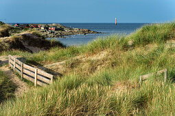 Dünen am Strand von Tyloesand , Schweden