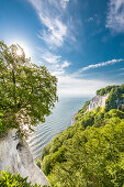 View from Koenigsstuhl, Stubbenkammer, Jasmund National Park, Ruegen Island, Mecklenburg-Western Pomerania, Germany