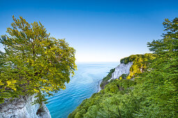 Blick vom Königsstuhl, Stubbenkammer, Nationalpark Jasmund, Rügen, Mecklenburg-Vorpommern, Deutschland