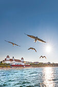 Seagulls and Kurhaus at sunset, Binz, Ruegen Island, Mecklenburg-Western Pomerania, Germany