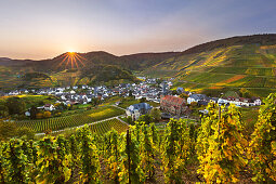 View to Mayschoss, Rotweinwanderweg, Ahr, Rhineland-Palatinate, Germany