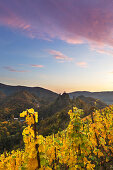 View from the vineyards to Are castle, Altenahr, Ahrsteig hiking trail, Rotweinwanderweg hiking trail, Ahr, Rhineland-Palatinate, Germany