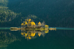 Small island at Eibsee, Werdenfelser Land, Bavaria, Germany