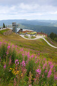 Arberschutzhaus and Eisensteiner Huette, Grosser Arber, Bavarian Forest, Bavaria, Germany