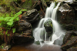 Hoellbachgspreng cascade, hiking path to Grosser Falkenstein, Bavarian Forest, Bavaria, Germany