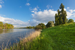 Birtener Altrhein, old arm of the Rhine river, near Xanten, Lower Rhine, North-Rhine Westphalia, Germany