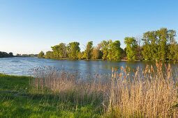 Birtener Altrhein, old arm of the Rhine river, near Xanten, Lower Rhine, North-Rhine Westphalia, Germany