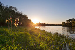 Birtener Altrhein, old arm of the Rhine river, near Xanten, Lower Rhine, North-Rhine Westphalia, Germany