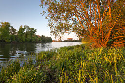 Birtener Altrhein, old arm of the Rhine river, near Xanten, Lower Rhine, North-Rhine Westphalia, Germany