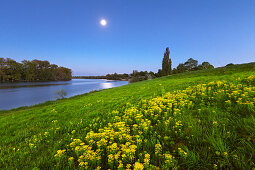 Vollmond, Birtener Altrhein, Altrheinarm bei Xanten, Niederrhein, Nordrhein-Westfalen, Deutschland