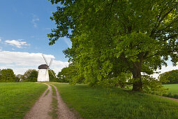 Engelsberg Windmühle bei Krefeld, Niederrhein, Nordrhein-Westfalen, Deutschland