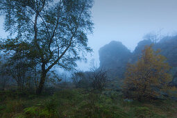 Morgennebel, Bruchhauser Steine, bei Olsberg, Rothaarsteig, Rothaargebirge, Sauerland, Nordrhein-Westfalen, Deutschland