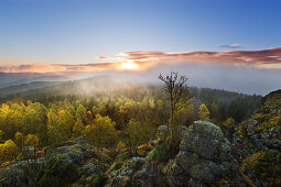 Morning mist, Bruchhauser Steine, near Olsberg, Rothaarsteig hiking trail, Rothaar mountains, Sauerland, North Rhine-Westphalia, Germany