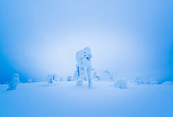 trees holding a heavy load of snow on the untouched hills above the city of Luosto, finnish Lapland