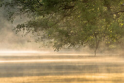 Spreewald Biosphere Reserve, Germany, Hiking, Kayaking, Recreation Area, Family Vacation, Family Outing, Paddling, Rowing, Wilderness, River Landscape, Sunrise, Sunbeams, Summer Morning, Mist, Water Reflection, Water Surface