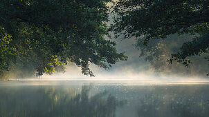 Spreewald Biosphere Reserve, Brandenburg, Germany, Kayaking, Recreation Area, Wilderness, River Landscape in the morning mist, Solitude, Morning Mist, Water reflection